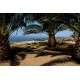 Properties for Sale_La Villa a Pantelleria in Le Marche_12